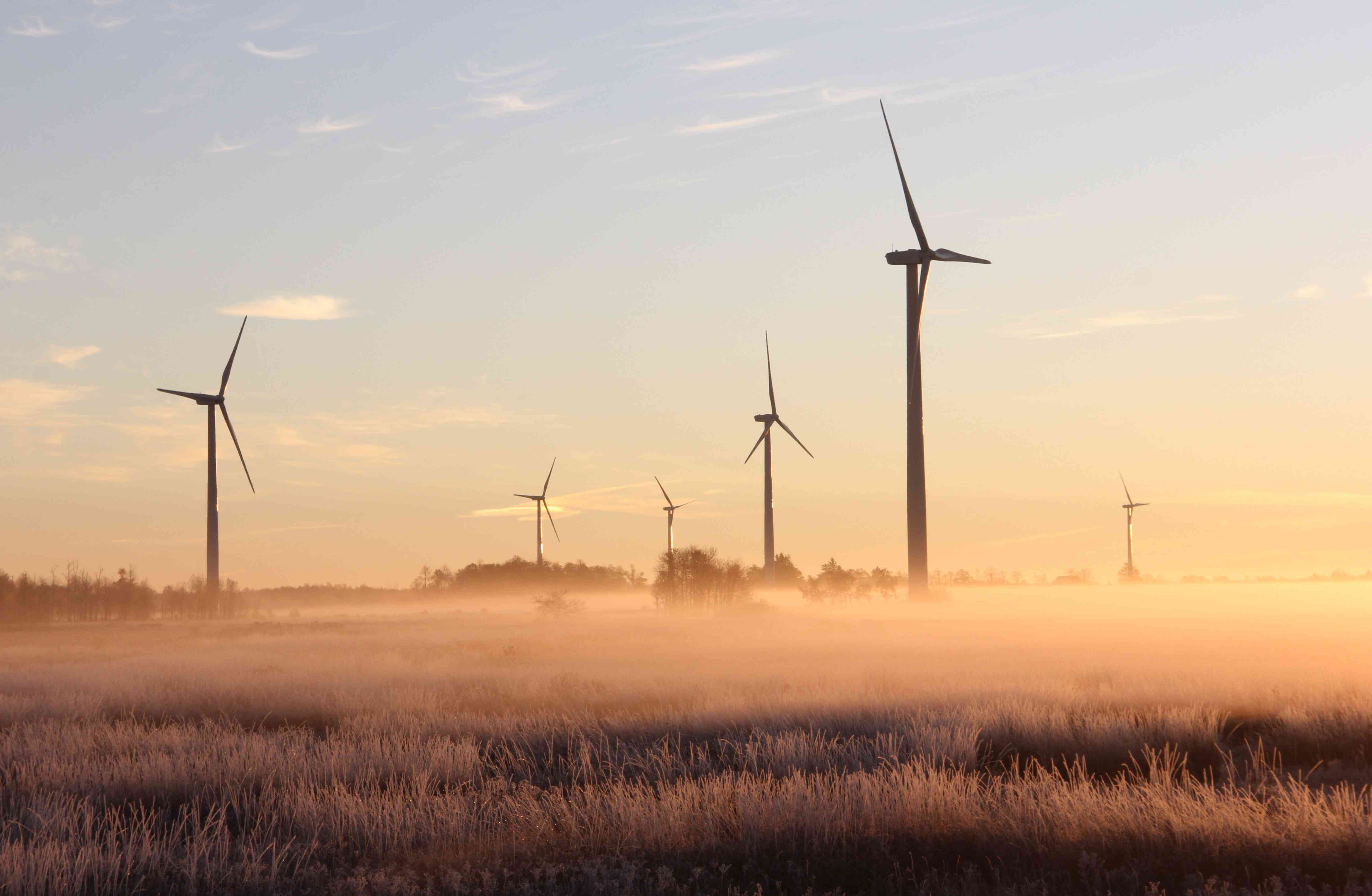 ENERGÍA Y RECURSOS NATURALES